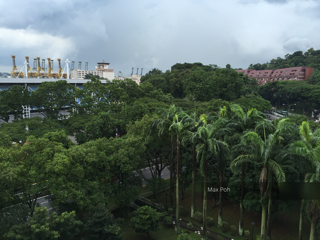 Blk 102 Bukit Purmei Road (Bukit Merah), HDB 3 Rooms #108250712